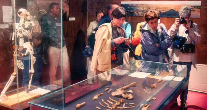 Humanity’s ancestors and the evolving journey of prehumans