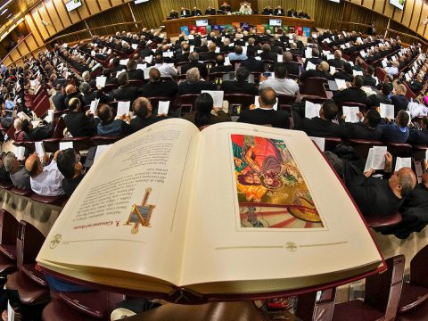 Synod is not a parliament says pope
