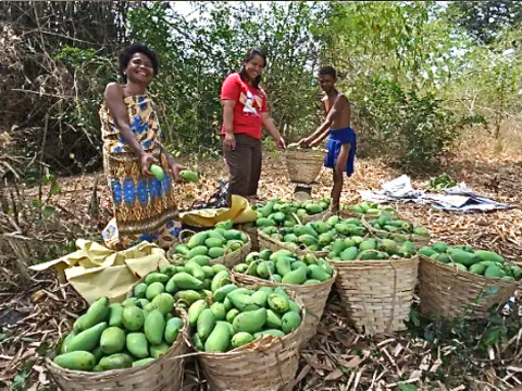 The greater value of fair trade