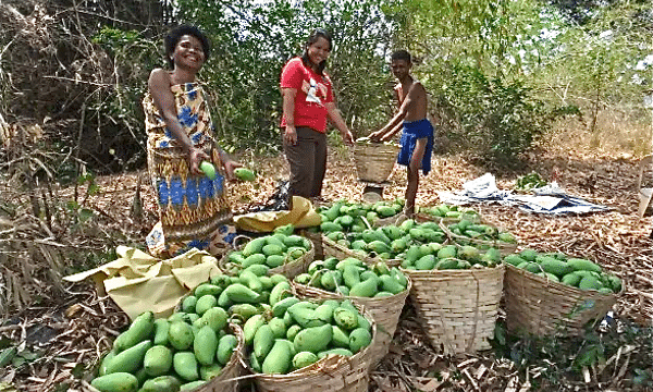 The greater value of fair trade
