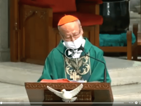 Cardinal Tong: Homily Seventh Sunday in Ordinary Time