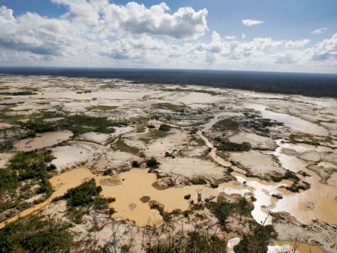 French bishops urge ‘integral ecology’ in response to climate change