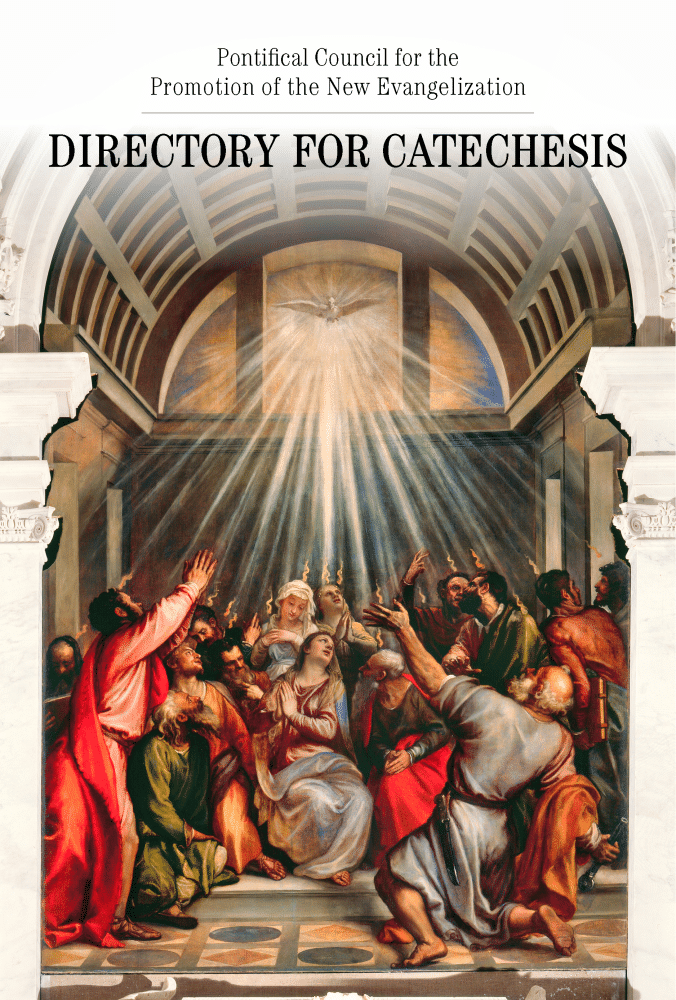 The cover of the updated Directory for Catechesis. Photo: CNS/USCCB