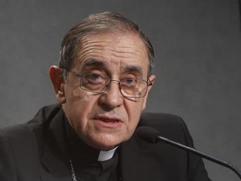Vatican approval necessary for diocesan religious congregations pope says
