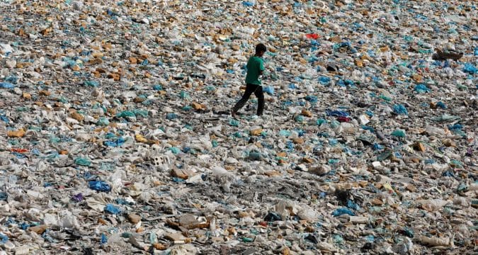 Restore our earth so we can live