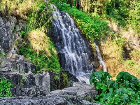 Momentum for Laudato Si’ gears up for next decade