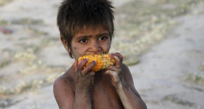 Rural and family farmers have little for themselves pope says