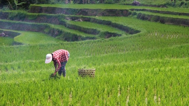 Is Laudato Si’ just a bundle of papers in Asia?