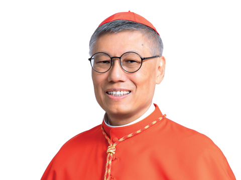 Cardinal Stephen Chow appointed to Pontifical Academy of Social Sciences