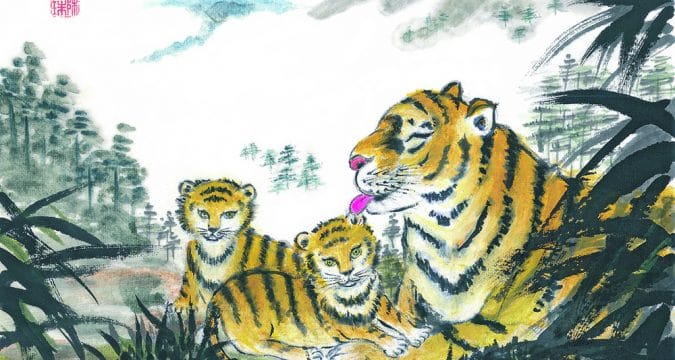 Happy Year of the Tiger