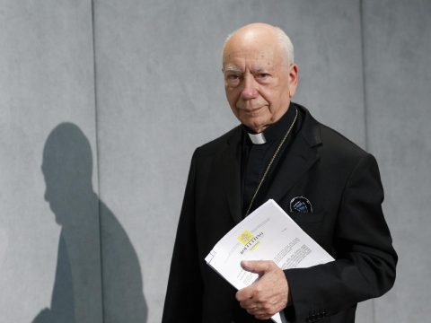 The decision-making role of laity in the Church