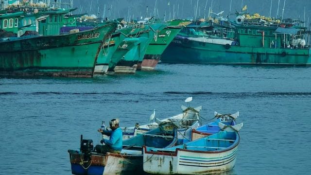 Multi-billion dollar port project endangers the future of fisherfolk Multi-billion dollar port project endangers the future of fisherfolk