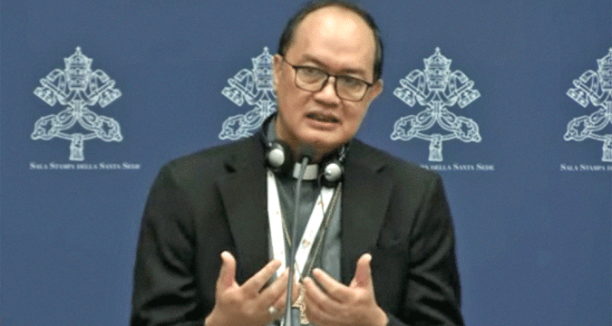 Synod members elect council to oversee implementation, plan next synod