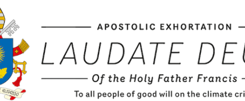 Video: Laudate Deum, the new apostolic exhortation on the environment