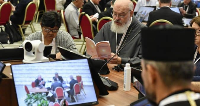 Cardinal addresses ‘exaggerated expectations’ over synod