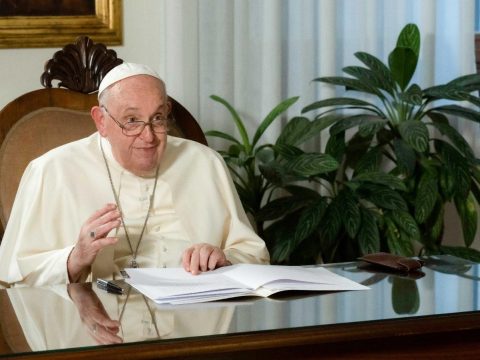 Build alliances supporting peace, creation, pope says