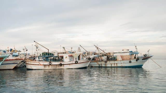 Protect fishing from predatory practices, lethal economy, cardinal says