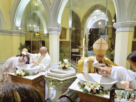 Cardinal calls commitmment to culture of life at Easter Vigil
