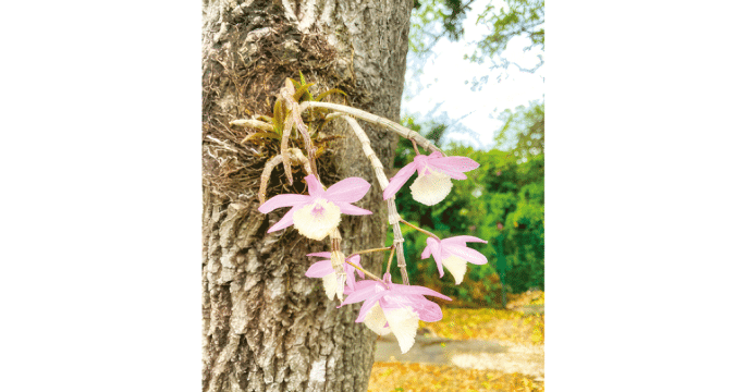  Journey from restlessness to Resurrection