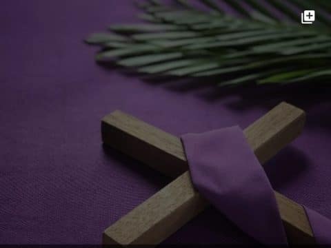 Mass for Fourth Sunday of Lent – live streaming