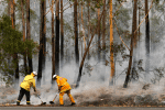 Firefighters attempt to contain a bushfire along a highway near Ulladulla, Australia, on January 5. Photo: CNS/AAP via Reuters