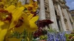 Easter Sunday Mass and 'Urbi et Orbi' celebrated by Pope Francis, 4.55pm, April 12, Hong Kong time (...
