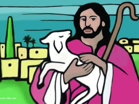 Your daily Mass guide