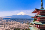 Mt. Fuji from Arakurayama Sengen Park and the Churei-to pagoda in Fujiyoshida, Yamanashi. Photo: Reginald Pentinio/Wikipedia CC BY-SA 3.0