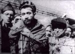 tes at the Auschwitz-Birkenau death camp in Oswiecim, Poland, behind barbed wire after the liberation from the Nazis in 1945. Photo: CNS/Yad Vashem Archives via Reuters