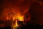 Smoke from a fire in Pocone, in the Brazili, rises into the air on September 2020, as trees burn among vegetation in the Pantanal, the world's largest wetland. Recent media reports also say scientist have confirmed that the Amazon rainforest—often called the “lungs of the Earth”—is now emitting more carbon dioxide than it absorbs. Photo: CNS/Amanda Perobelli, Reuters