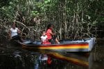 Villagers paddle along a branch of the Pomeroon River in the interior of Guyana in 2015. File photo: CNS/Bob Roller