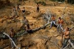 Amazon bishops demand action from COP26