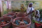 Probe against Missionaries of Charity called ‘a targeted strategy’