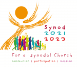 Synodal process showing good progress and some challenges