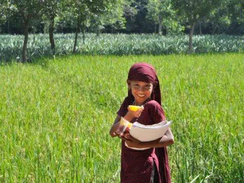 Educating girls a challenge in post-Covid Asia