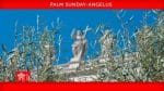 Palm Sunday Angelus with Pope Francis,10 April  2022. St. Peter's Square