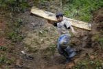 Tackle the poverty driving children into forced labour, pope says