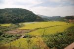 Farmers go organic to ease Korean food crisis 