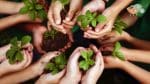 Building the Kingdom of God through social concern
