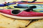 Art gallery for you