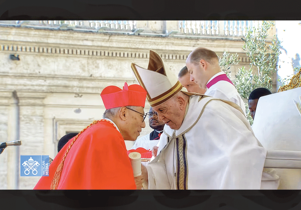 Congratulations to Cardinal Stephen on the first anniversary of his