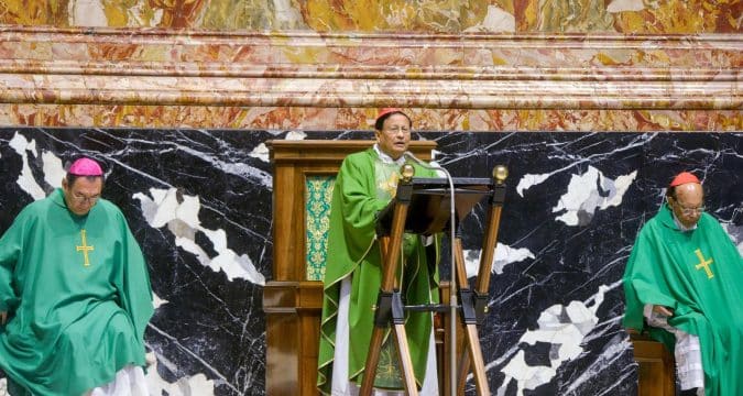Synodal journey is about healing, reconciling the world, cardinal says