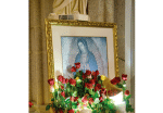 Celebrating Our Lady of Guadalupe