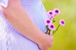Surrogacy makes human life a commodity, say global ban advocates
