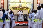 Pope speaks of refuge for Aung San Suu Kyi, and warns against clericalism