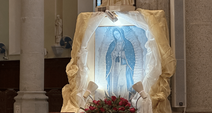 Mass in honour of Our Lady of Guadalupe celebrated at cathedral