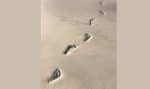 One set of footprints in the sand