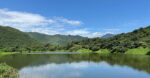 Celebrating a decade of Laudato Si’: a call to action for our common home
