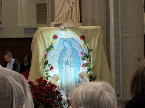 Mass in honour of Our Lady of Guadalupe Mass in honour of Our Lady of Guadalupe