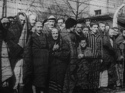 Fight against antisemitism, prejudice, genocide, pope says